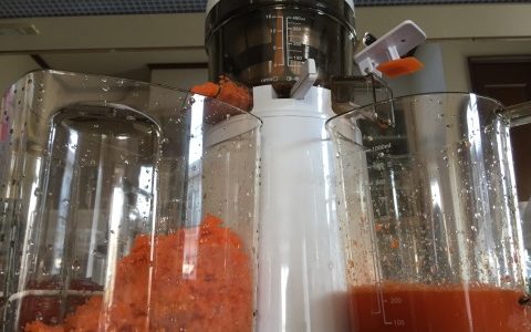 低速ジューサーで作る野菜ジュースの酵素の重要性とは